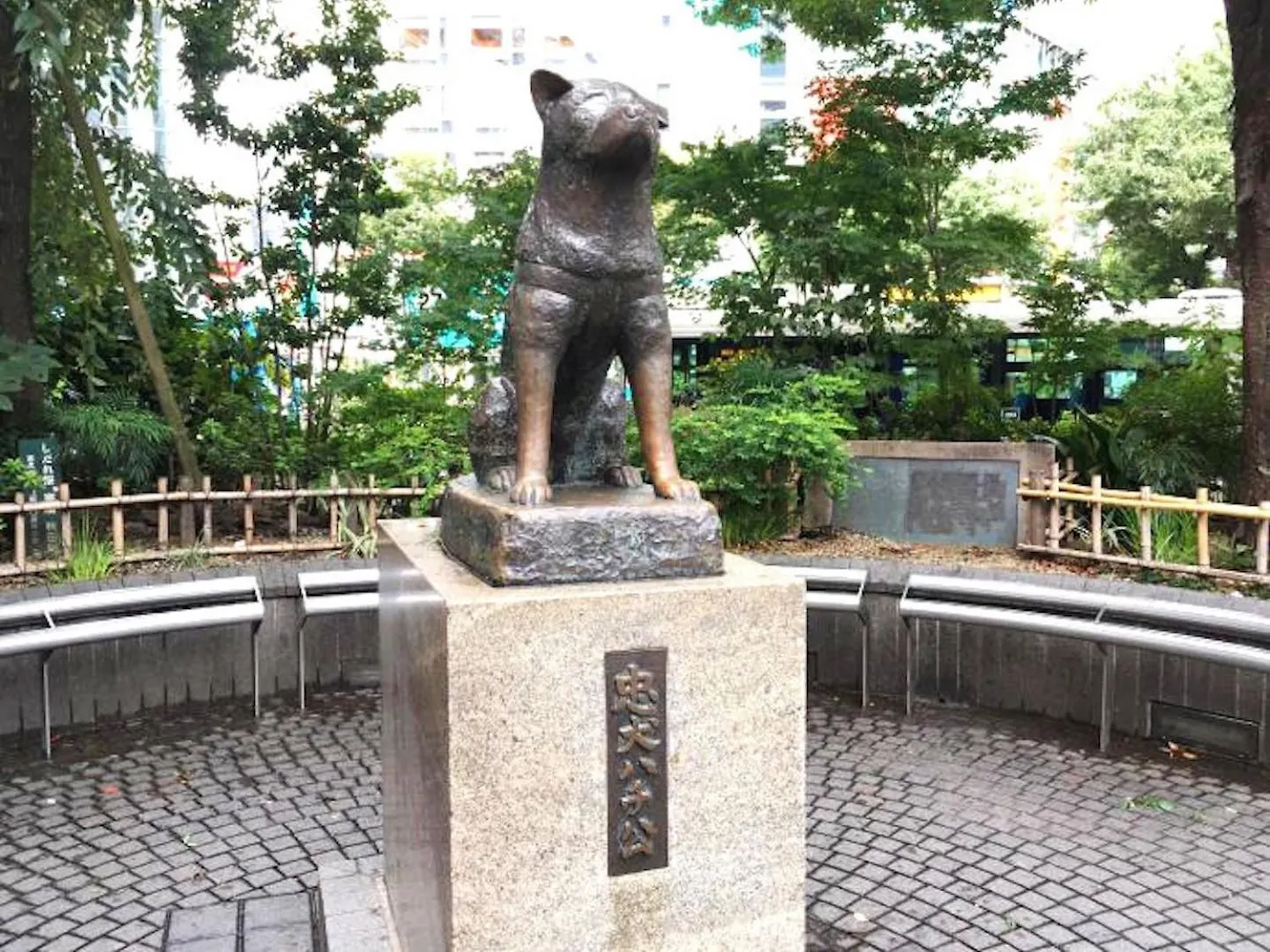 Shibuya-Ku - Apartment / Vacation Stay 1130 Tokyo Japan